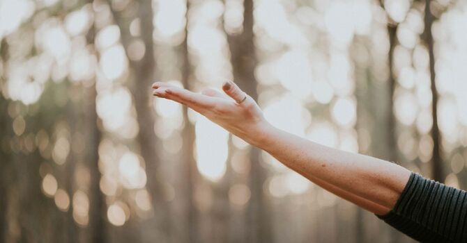 Men health and wellbeing